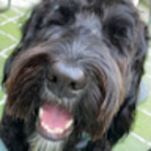 Meet your Posher, Isabella